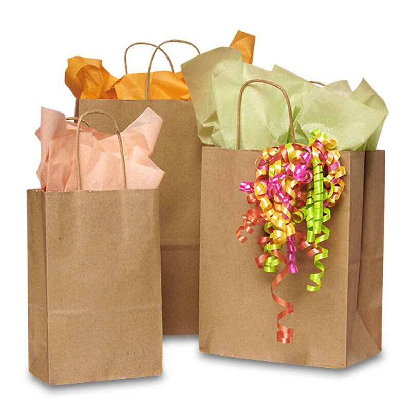 paper shopping bags Shopping Recycled Bags 100 Kraft  kraft