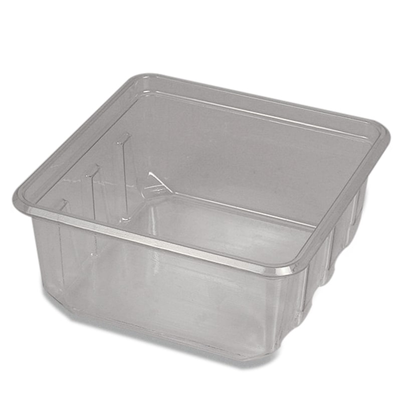 Clear Square PET Container & Lid