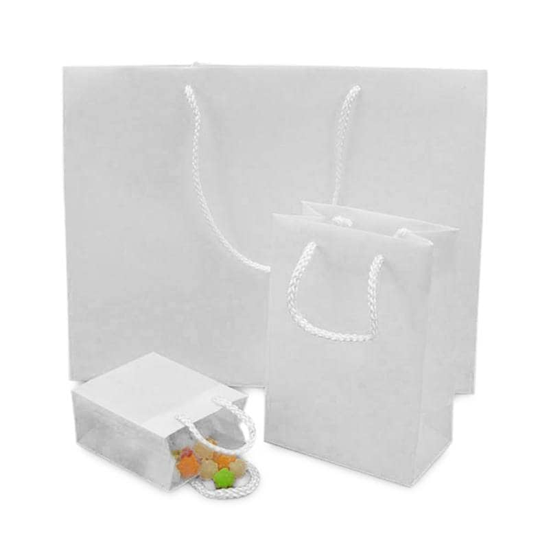 Silver Satin and Clear Vinyl Bags | Quantity: 12 | Width: 4 3/8 by Paper Mart