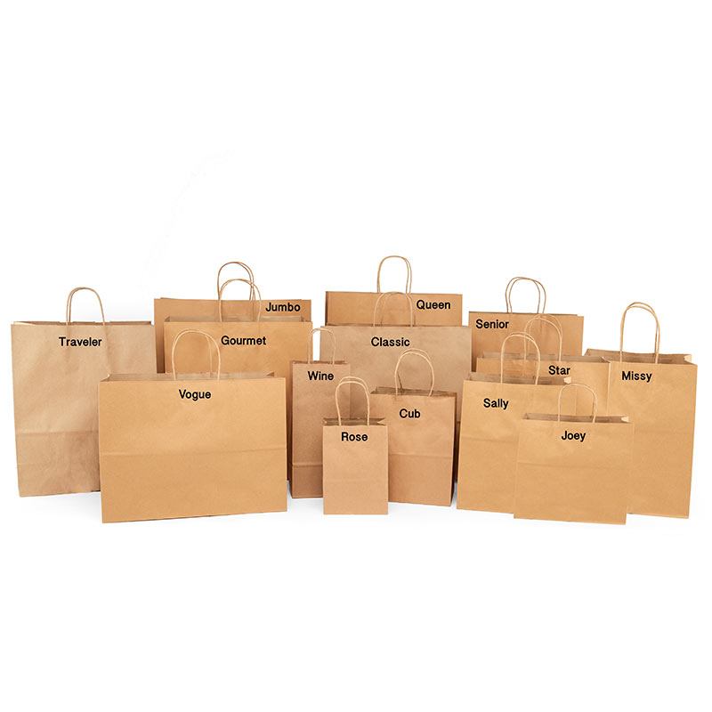 10LB Large White Paper Kraft Bags, Bakery Bags, Grocery Bag, Craft