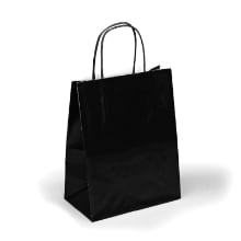 Glossy Shopping Bags