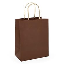 Kraft Tinted Color Shopping Bags