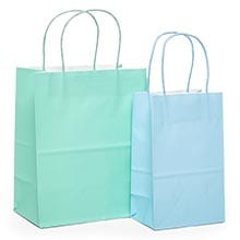 Assorted Pastel Solid Colored Paper Shopping Bags - 12 Pack