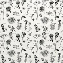 Floral Pattern Tissue Paper