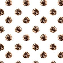 Pinecone Gift Wrap - 24 X 833' - Gift Wrapping Paper by Paper Mart