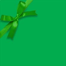 Green Matte Gift Wrap Colored - 30 X 417' - Gift Wrapping Paper by Paper Mart