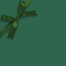 Hunter Matte Gift Wrap Colored - 24 X 417' - Gift Wrapping Paper by Paper Mart