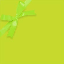 Lime Matte Gift Wrap Colored - 30 X 208' - Gift Wrapping Paper by Paper Mart