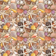 Seashells Gift Wrap - 24 X 417' - Gift Wrapping Paper by Paper Mart