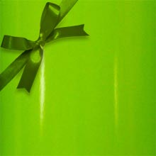 #g8788 Limelight Lime - Gift Wrap Colored - 24 X 833' - - Gift Wrapping Paper by Paper Mart