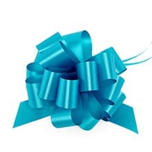 Turquoise Bows