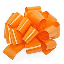 Orange Ribbon Bows