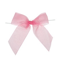 Pre-Tied Organza Bow