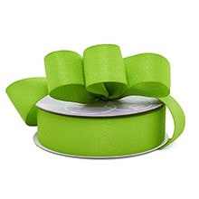 Elegancy Fabric Ribbon