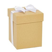 Solid Colored Square Gift Boxes with Lid & Bow