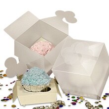 One Standard Cupcake Frosted Plastic Boxes