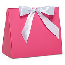 Peekaboo Tent Favor Boxes with Ribbon