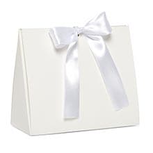 Peekaboo Tent Favor Boxes with Ribbon