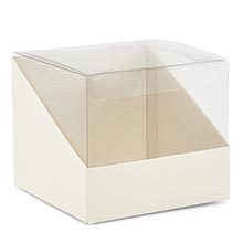 Ivory PVC Embossed View Boxes