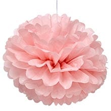 Tissue Paper Pom Poms 5/Pack