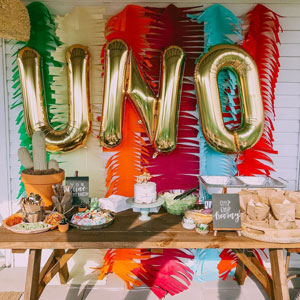 Party Backdrop