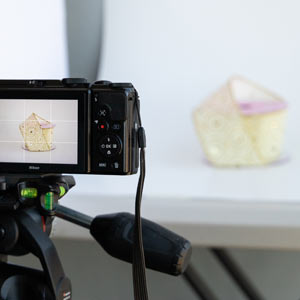 Tips & Tricks For Simple Home Photography