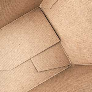 Cardboard