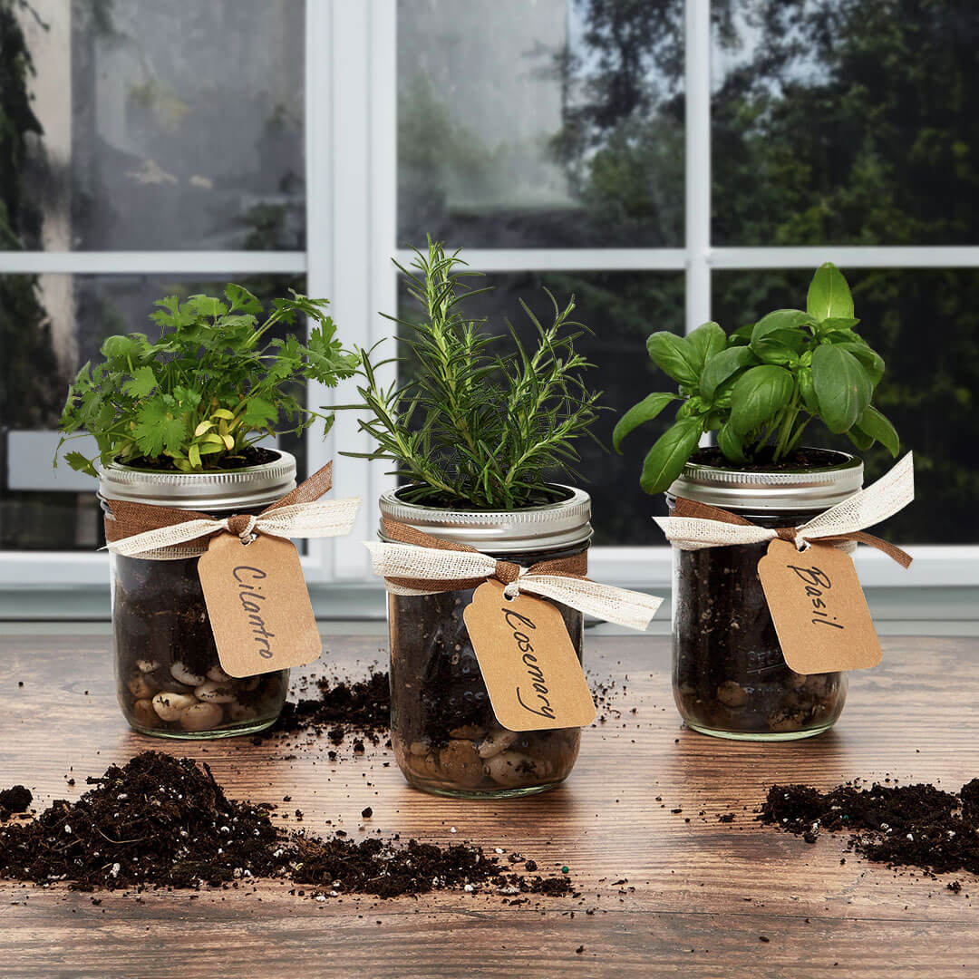 DIY Earth Day Mason Jar Planter
