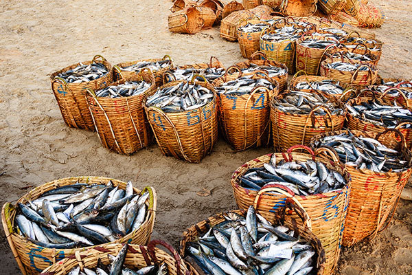 How Did Baskets Make Life Easier in Early Times?