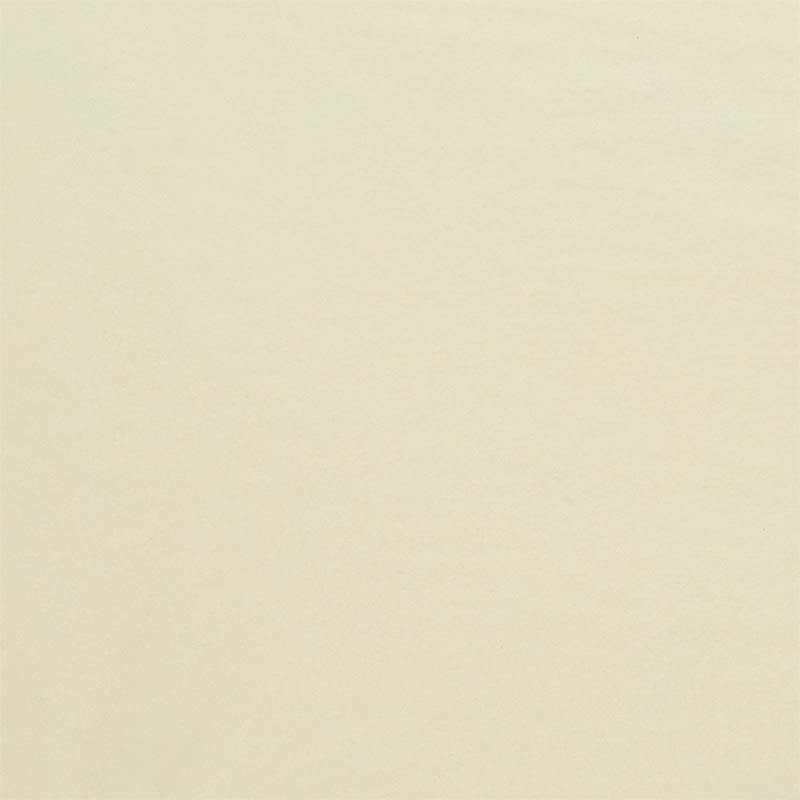 Premium Colored Tissue Paper 15" X 20" (480/Pack)