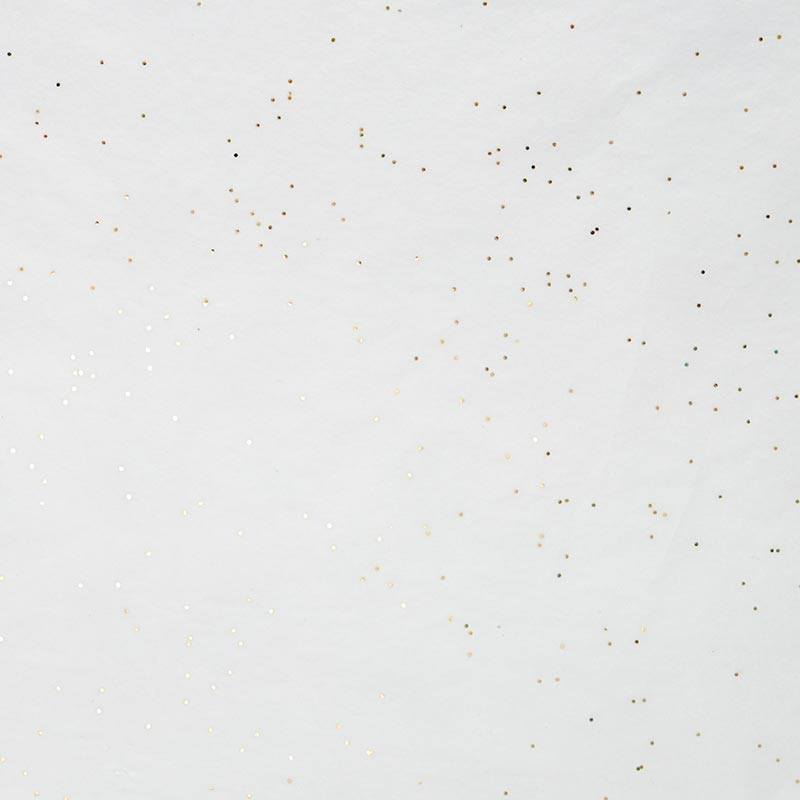 Glitter & Sparkle Tissue Paper (200/Pack)