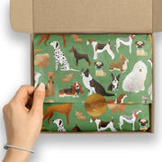 Best In Show Green Premium Tissue Paper (240 Sheets/Package)